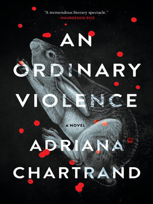 cover image of An Ordinary Violence